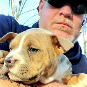 Meet your Posher, Josh